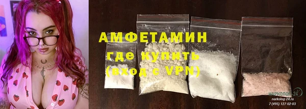 сатива Вяземский