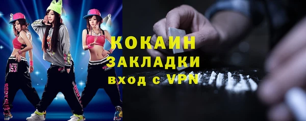 сатива Вяземский