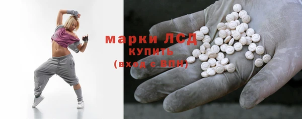 сатива Вяземский