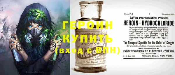 сатива Вяземский