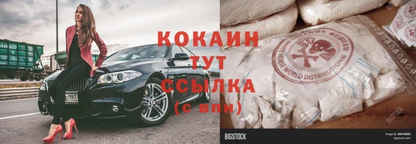 сатива Вяземский