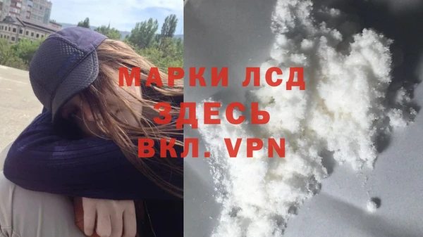 сатива Вяземский