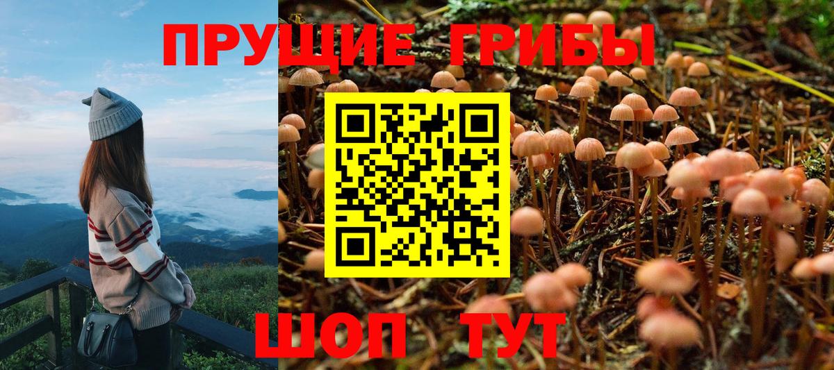 Галлюциногенные грибы MAGIC MUSHROOMS  Вход с VPN  Дедовск  Галлюциногенные грибы MAGIC MUSHROOMS 