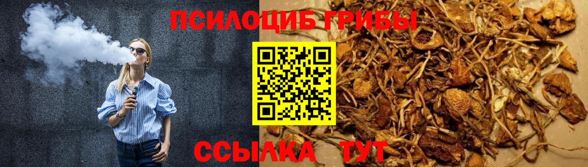 Псилоцибиновые грибы мицелий Дедовск